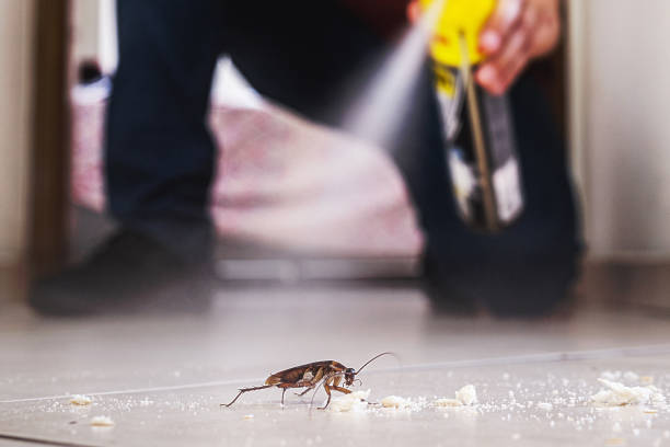 Insect Control in Goose Creek Village, VA