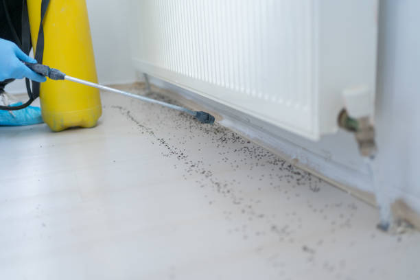 Best Rat Extermination Near Me  in Goose Creek Village, VA