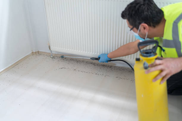 Best Pest Prevention Services  in Goose Creek Village, VA
